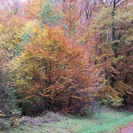 Wunderschoene Im Burgenland Apartamento