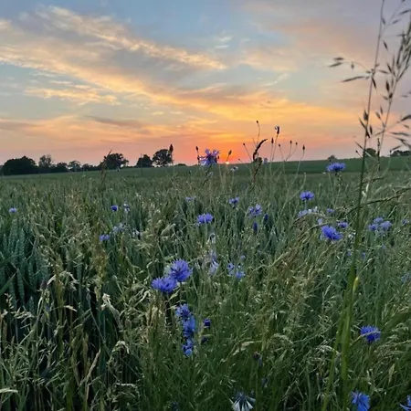 Wunderschoene Im Burgenland Lägenhet