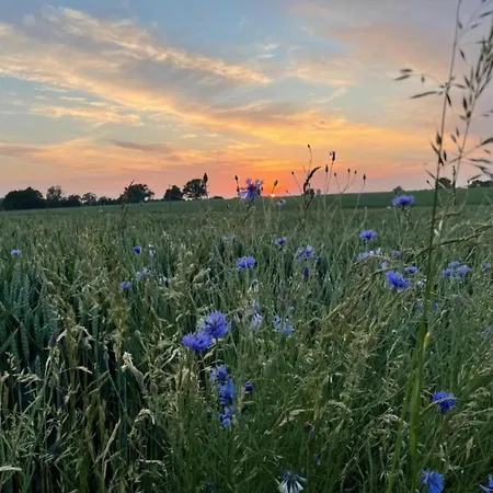 Wunderschoene Im Burgenland Apartamento Manderscheid