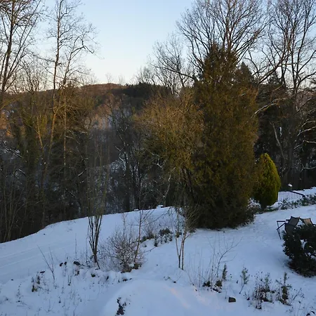 Wunderschoene Im Burgenland Апартаменты Мандершайд