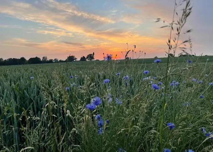 Wunderschoene Im Burgenland アパート
